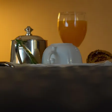 Palazzo Turchini Отель 4*